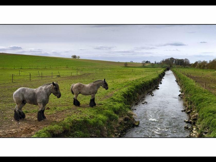 La Ferme Des Moulineaux Bailly (Yvelines) Exterior foto