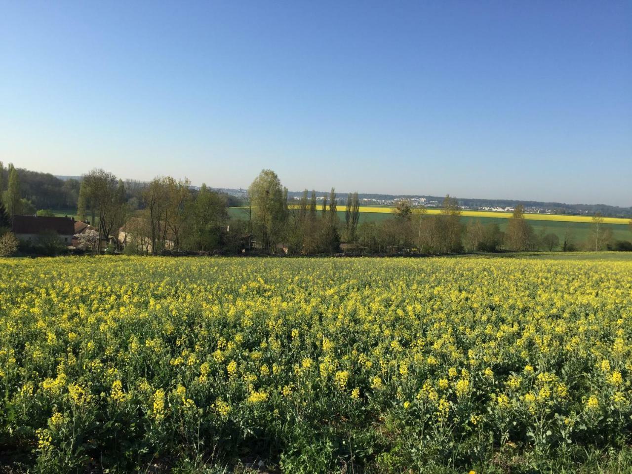 La Ferme Des Moulineaux Bailly (Yvelines) Exterior foto